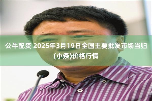 公牛配资 2025年3月19日全国主要批发市场当归(小条)价格行情