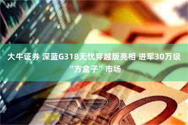 大牛证券 深蓝G318无忧穿越版亮相 进军30万级“方盒子”市场