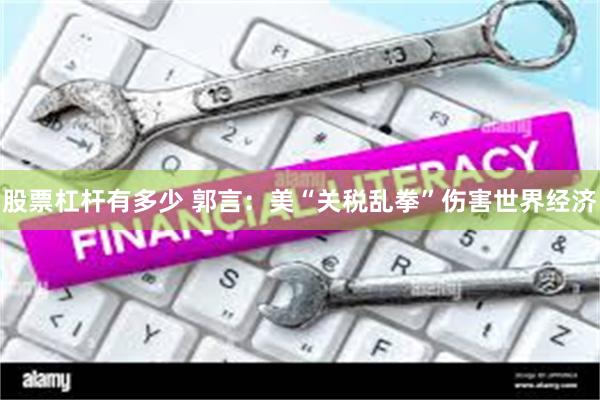 股票杠杆有多少 郭言：美“关税乱拳”伤害世界经济