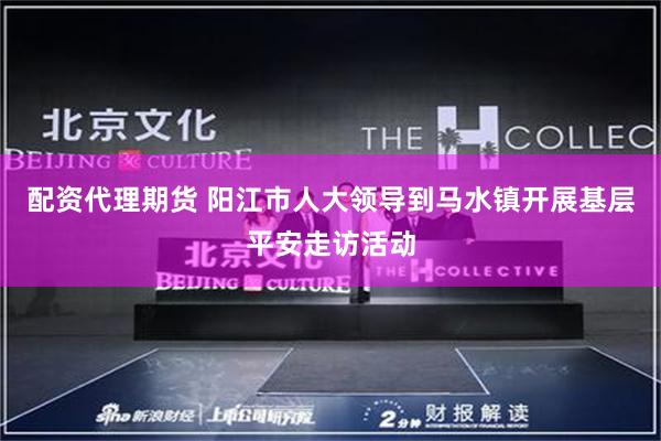 配资代理期货 阳江市人大领导到马水镇开展基层平安走访活动