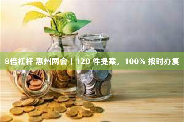 8倍杠杆 惠州两会丨120 件提案，100% 按时办复