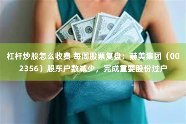 杠杆炒股怎么收费 每周股票复盘：赫美集团（002356）股东户数减少，完成重要股份过户