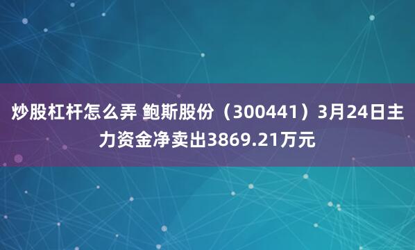 炒股杠杆怎么弄 鲍斯股份（300441）3月24日主力资金净卖出3869.21万元