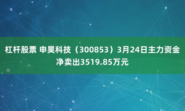杠杆股票 申昊科技（300853）3月24日主力资金净卖出3519.85万元