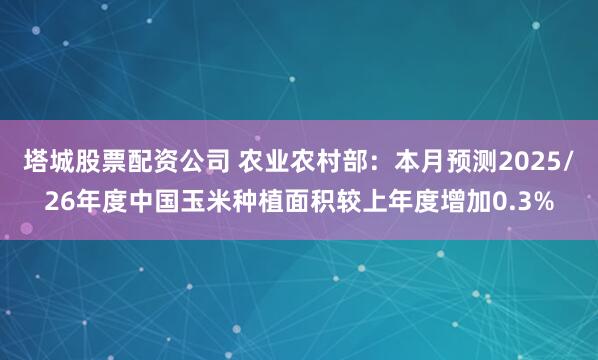 塔城股票配资公司 农业农村部：本月预测2025/26年度中国玉米种植面积较上年度增加0.3%