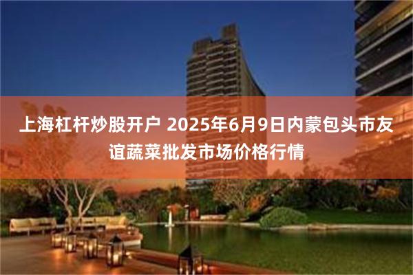 上海杠杆炒股开户 2025年6月9日内蒙包头市友谊蔬菜批发市场价格行情