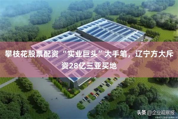 攀枝花股票配资 “实业巨头”大手笔，辽宁方大斥资28亿三亚买地