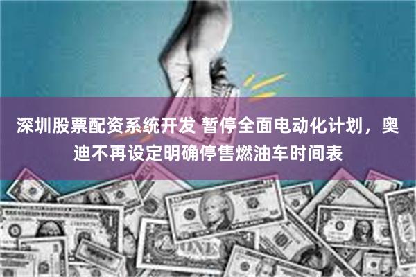 深圳股票配资系统开发 暂停全面电动化计划，奥迪不再设定明确停售燃油车时间表